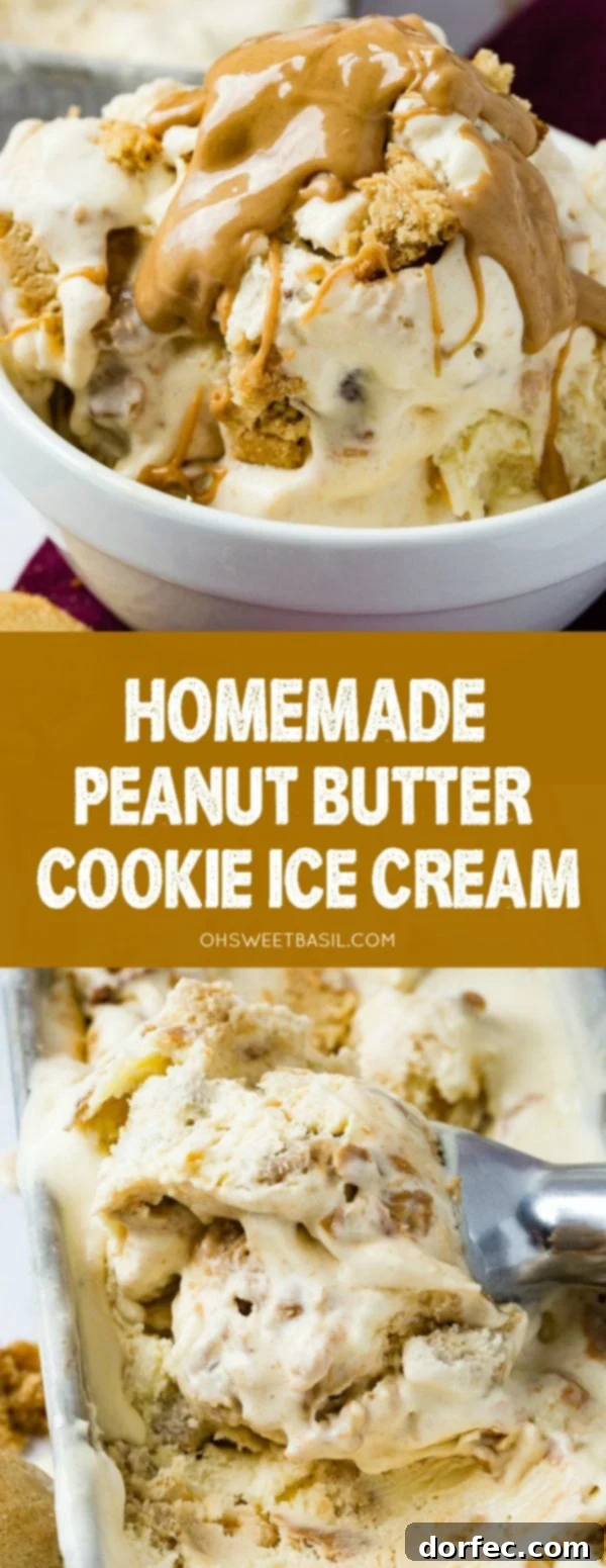 A bowl of homemade peanut butter cookie ice cream drizzled with creamy peanut butter on top and full of cookie chunks.