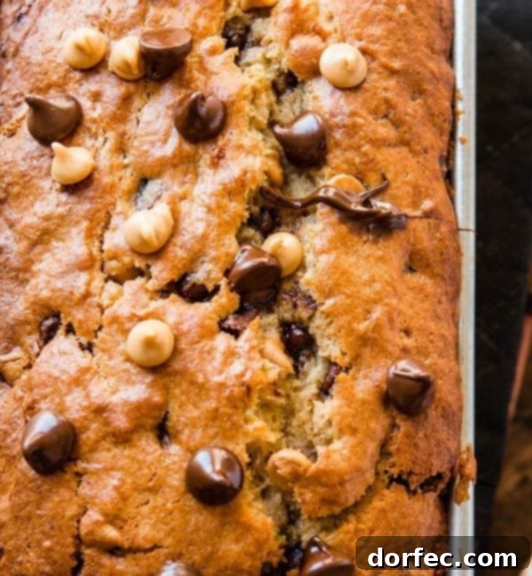 The Ember in the Shadow Part 19 2 A close up photo of a loaf of peanut butter banana bread still in the pan with chocolate and peanut butter chips on top.
