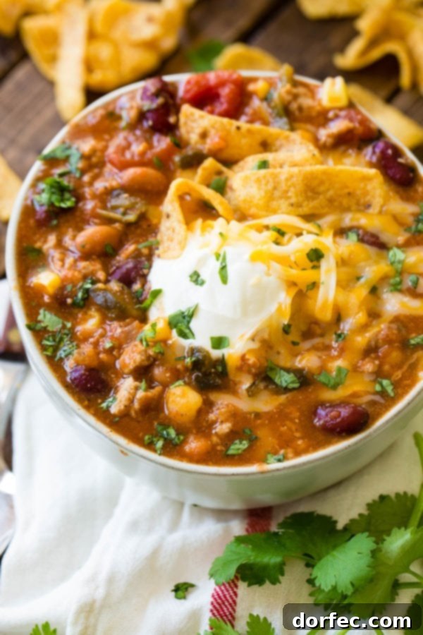 Blender Taco Chili A beautifully presented bowl of Taco Chili, adorned with a generous topping of crunchy Fritos, a swirl of creamy sour cream, and a vibrant sprinkle of fresh chopped cilantro.