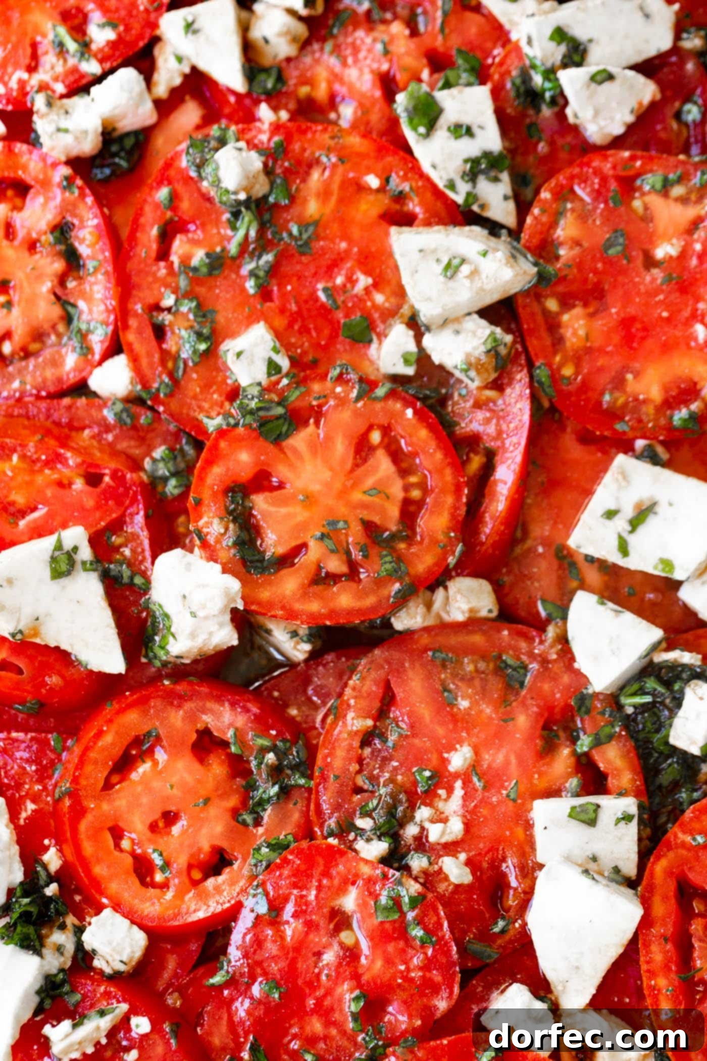 A photo of a marinated tomatoes salad with fresh herbs and 3 cheeses.
