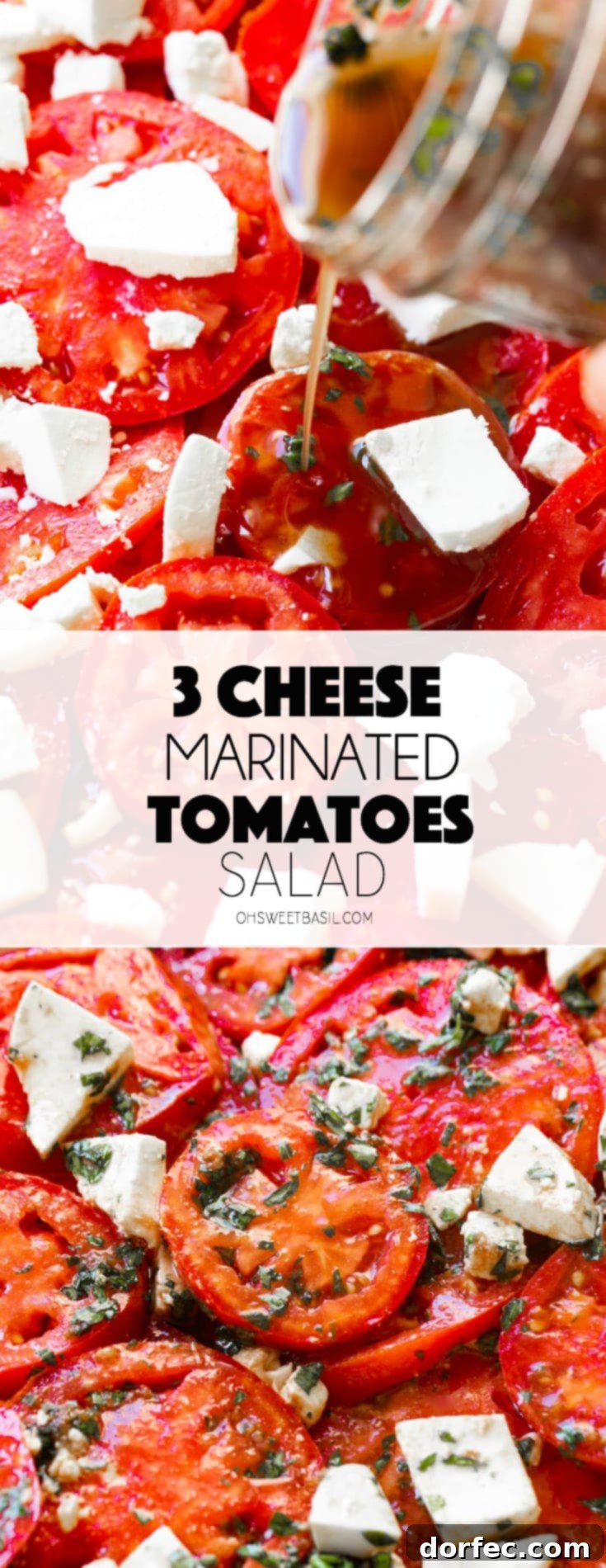 A photo of a marinated tomatoes salad with fresh herbs and 3 cheeses.