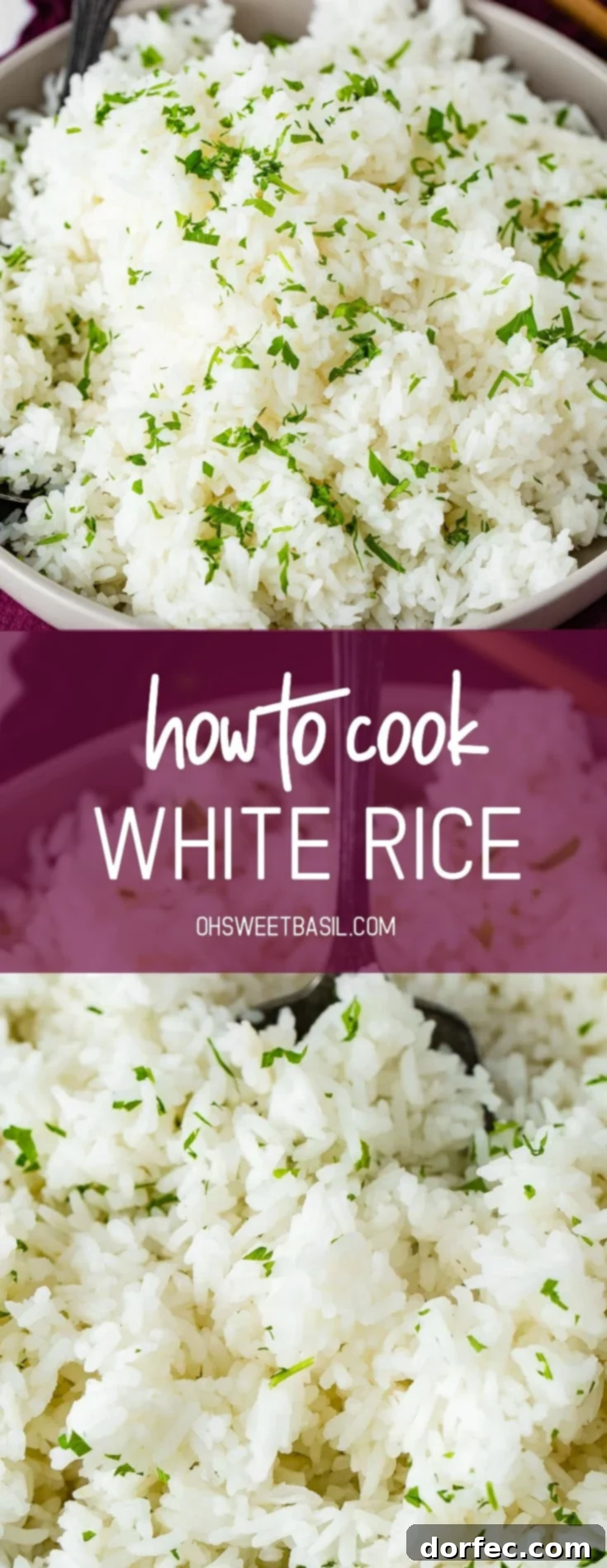 Fluffy White Rice Made Simple 6 a beautifully plated dish of long grain white rice, ready to serve