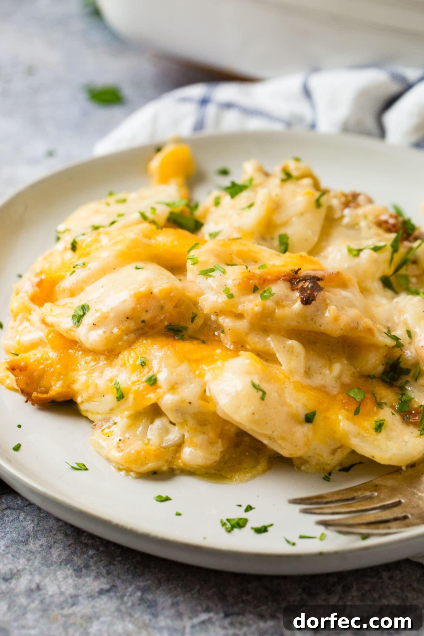 The Ultimate Cheesy Potato Casserole 3 A gray plate loaded with a serving of cheesy potato casserole, garnished with fresh green parsley.
