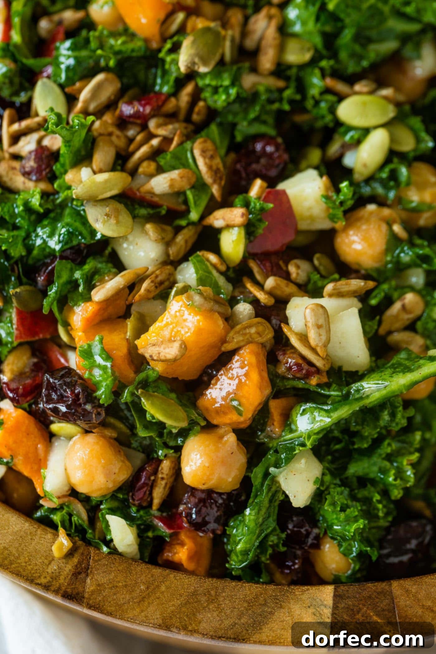 Golden Roasted Butternut & Kale Power Salad 7 A close up photo of a kale salad topped with roasted butternut squash, craisins, chickpeas, pepitas, and gouda cheese.