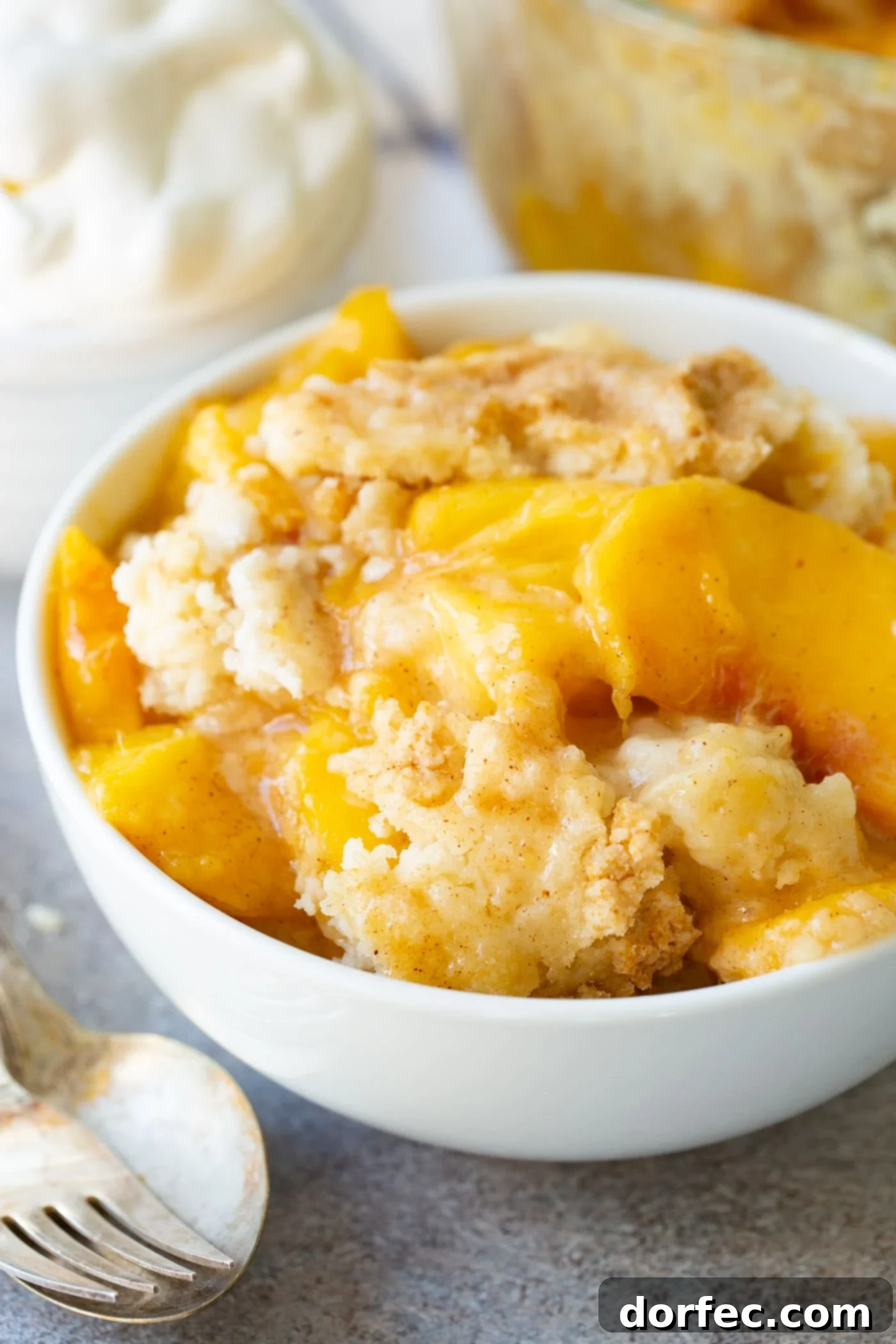 Easy Instant Pot Peach Cobbler with Cake Mix A serving of peach cobbler in a white bowl, garnished with fresh mint, highlighting the golden crust and vibrant peach filling.