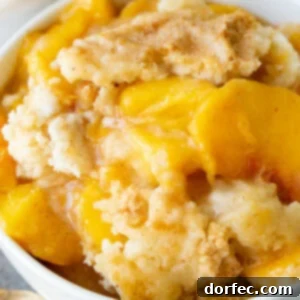 Effortless Instant Pot Peach Cobbler with Cake Mix 2 Easy Instant Pot Peach Cobbler