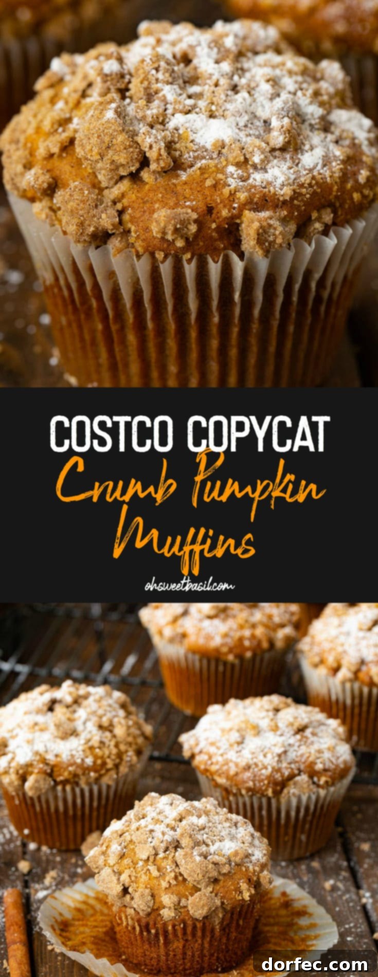 A generously sized pumpkin streusel muffin, expertly garnished with a sprinkle of powdered sugar, presented with a welcoming glow.