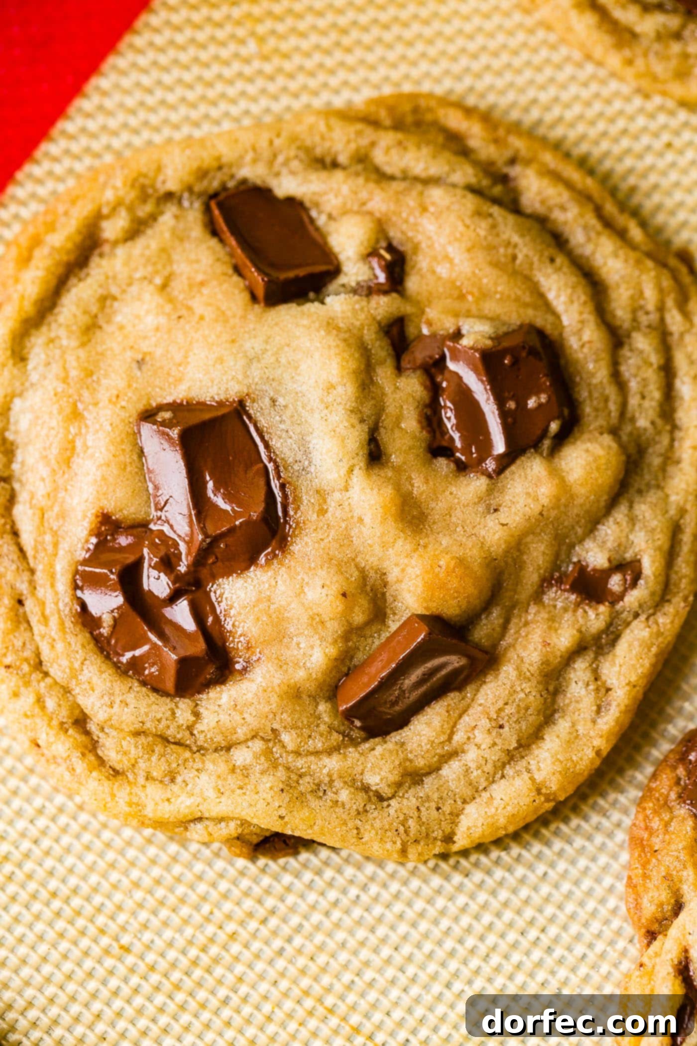 Ultimate Chocolate Chip Cookies 6 A perfectly baked chocolate chip cookie topped with glistening flaked sea salt, ready to be enjoyed