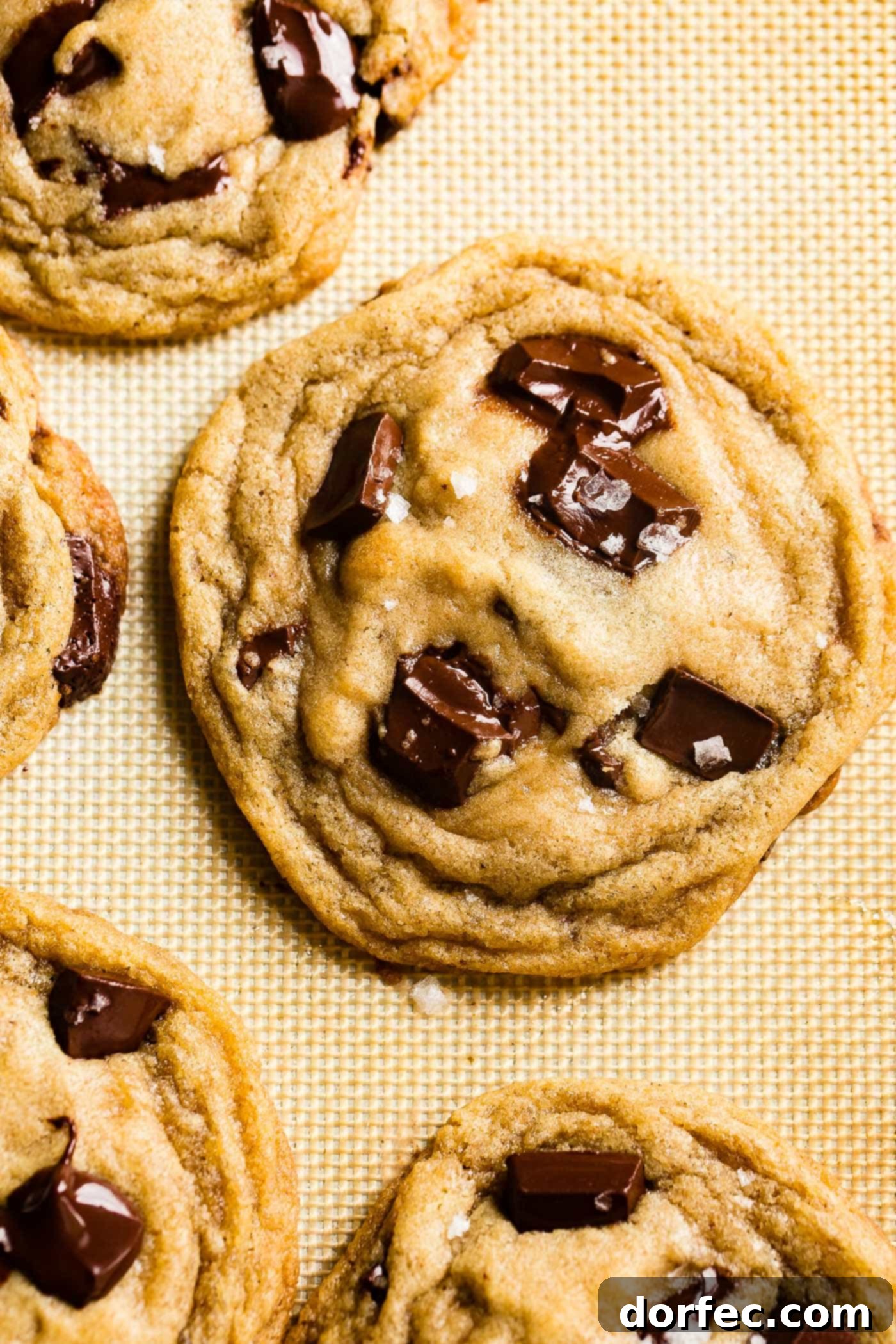 Ultimate Chocolate Chip Cookies 7 A close-up of a rustic, perfectly golden-brown chocolate chip cookie with a rich, chewy texture and visible melted chocolate