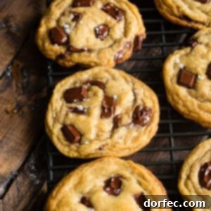 Ultimate Chocolate Chip Cookies 8 A finished Chocolate Lovers Brown Butter Chocolate Chip Cookie with sea salt