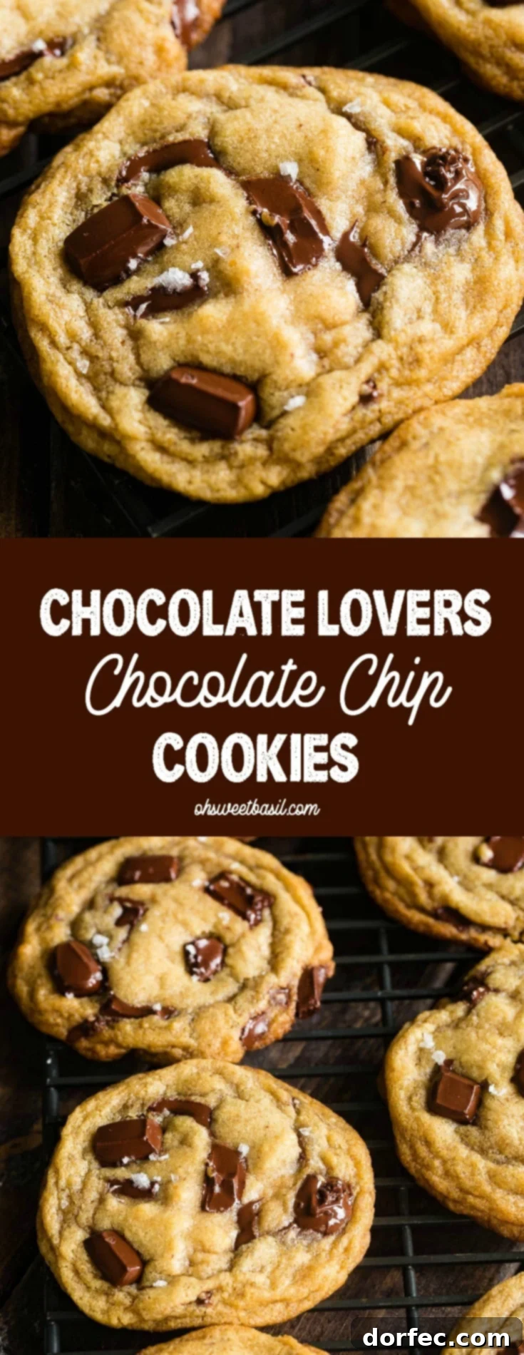 Ultimate Chocolate Chip Cookies 9 A beautifully textured chocolate chip cookie on a cooling rack, signifying a perfect bake