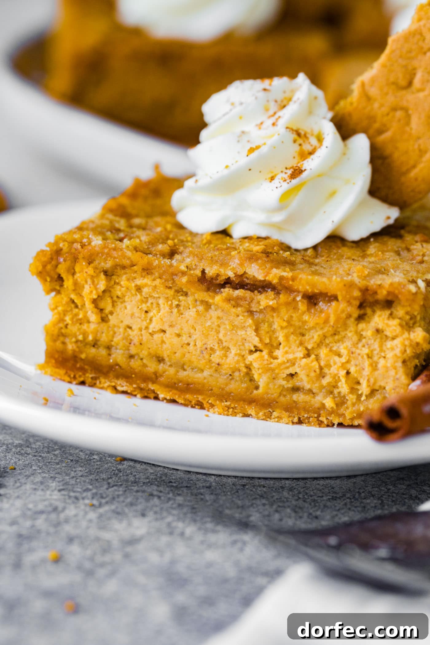 Ginger Snap Crusted Pumpkin Cheesecake Bars 3 A white plate with two cinnamon sticks next to a slice of gingersnap pumpkin cheesecake bars, topped with piped whipped cream.