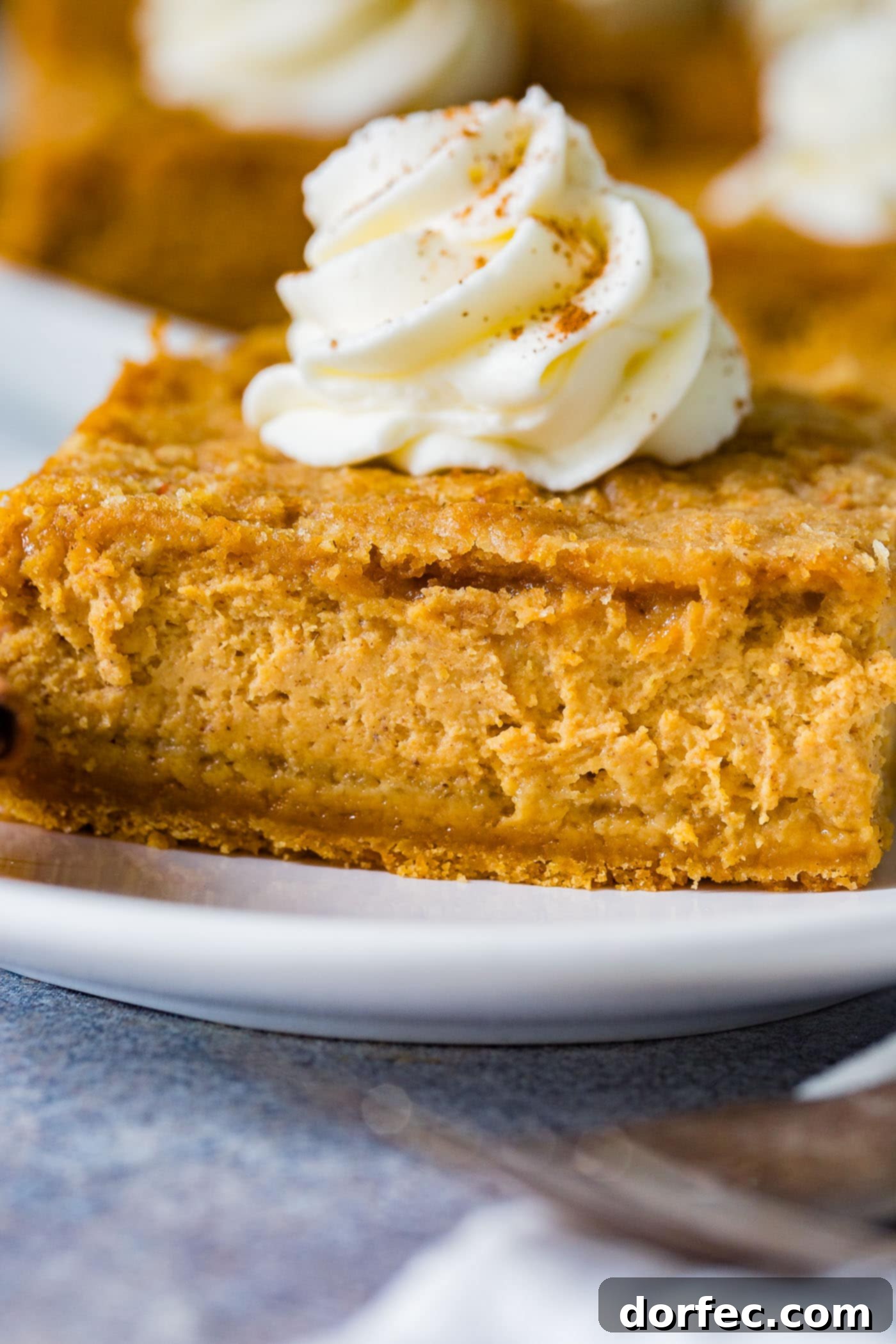 Ginger Snap Crusted Pumpkin Cheesecake Bars 4 A white plate with two cinnamon sticks next to a slice of gingersnap pumpkin cheesecake bars, topped with piped whipped cream.