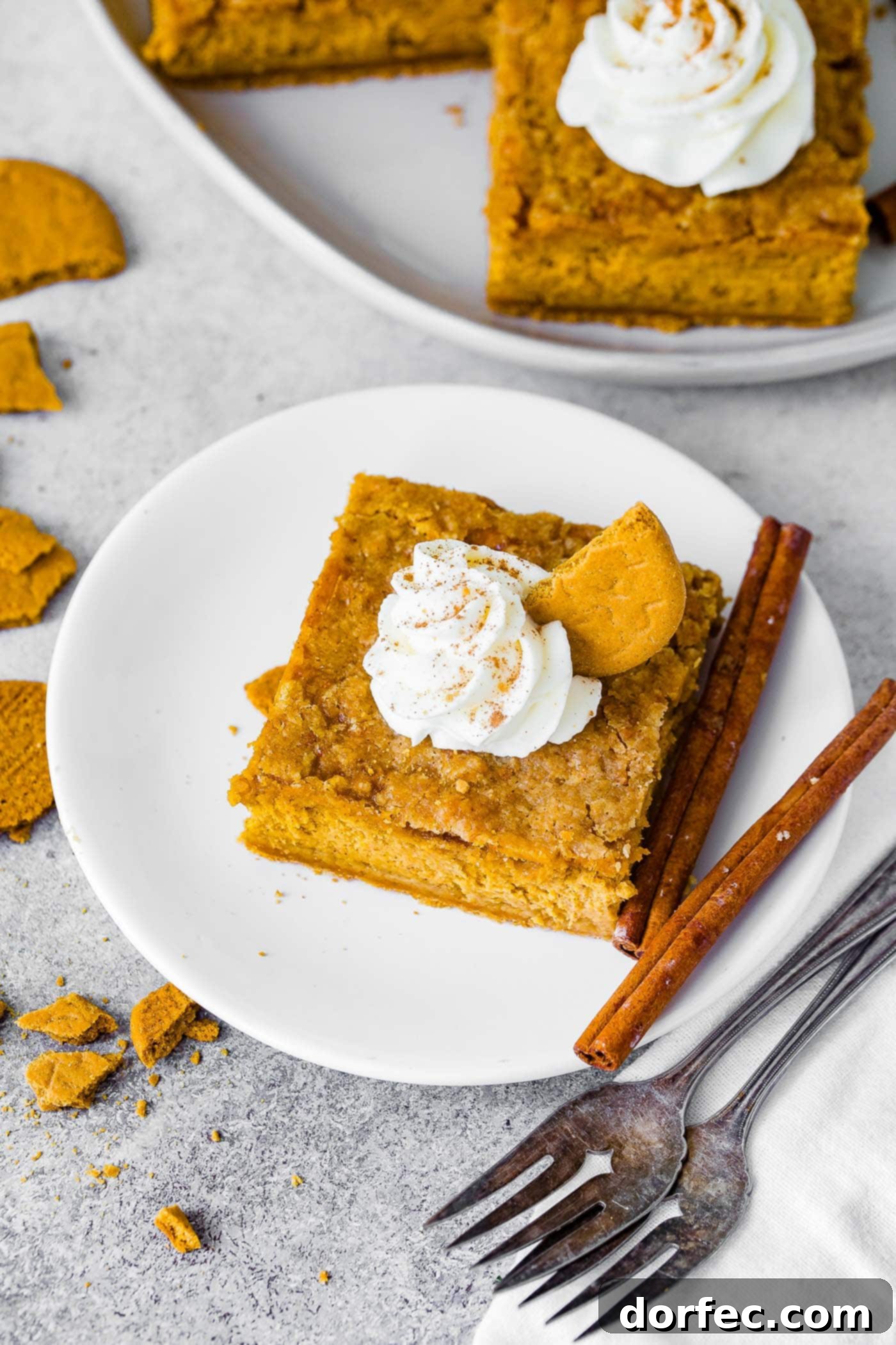 Ginger Snap Crusted Pumpkin Cheesecake Bars 5 A white plate with two cinnamon sticks next to a slice of gingersnap pumpkin cheesecake bars, topped with piped whipped cream.