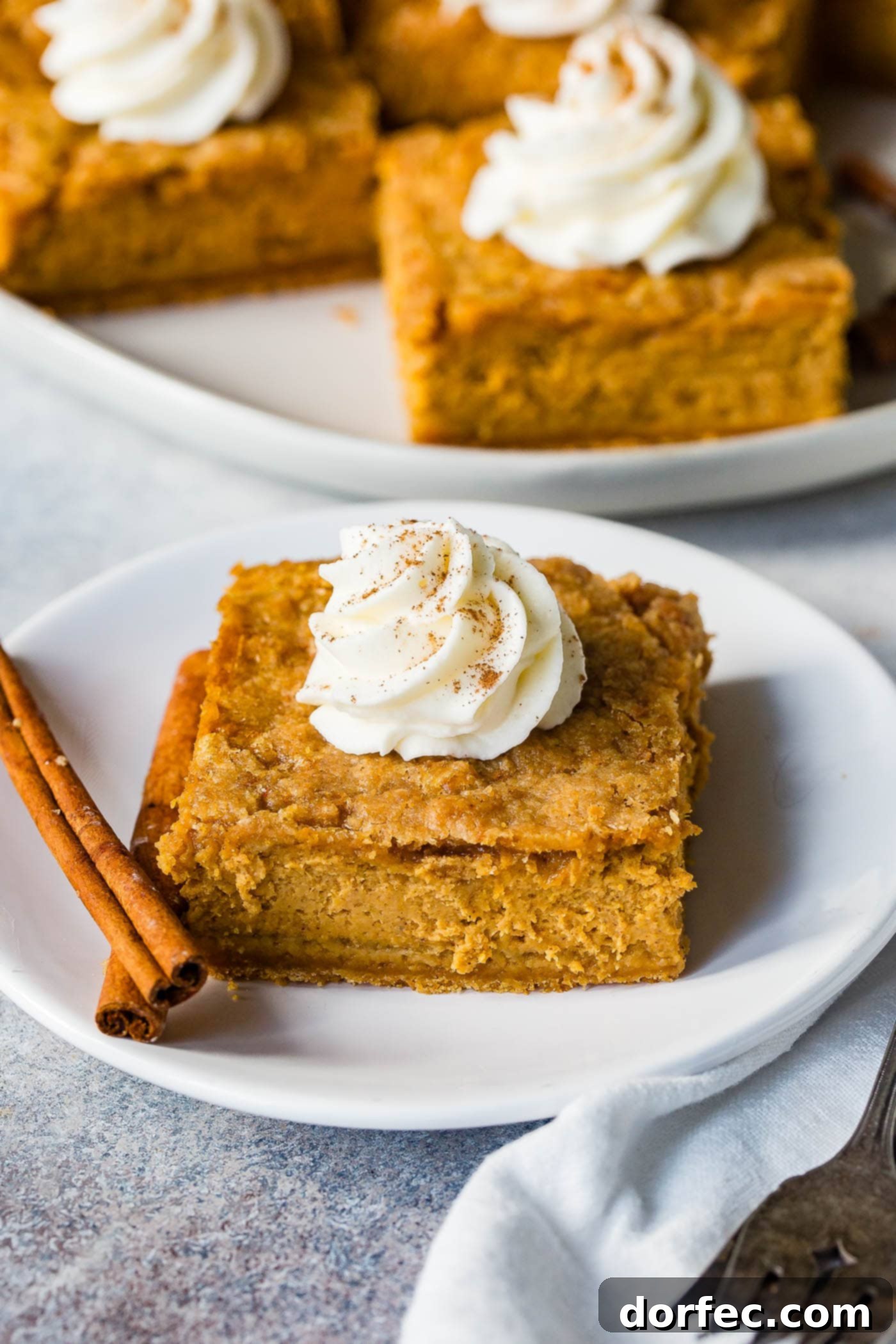 Ginger Snap Crusted Pumpkin Cheesecake Bars 6 A white plate with two cinnamon sticks next to a slice of gingersnap pumpkin cheesecake bars, topped with piped whipped cream.
