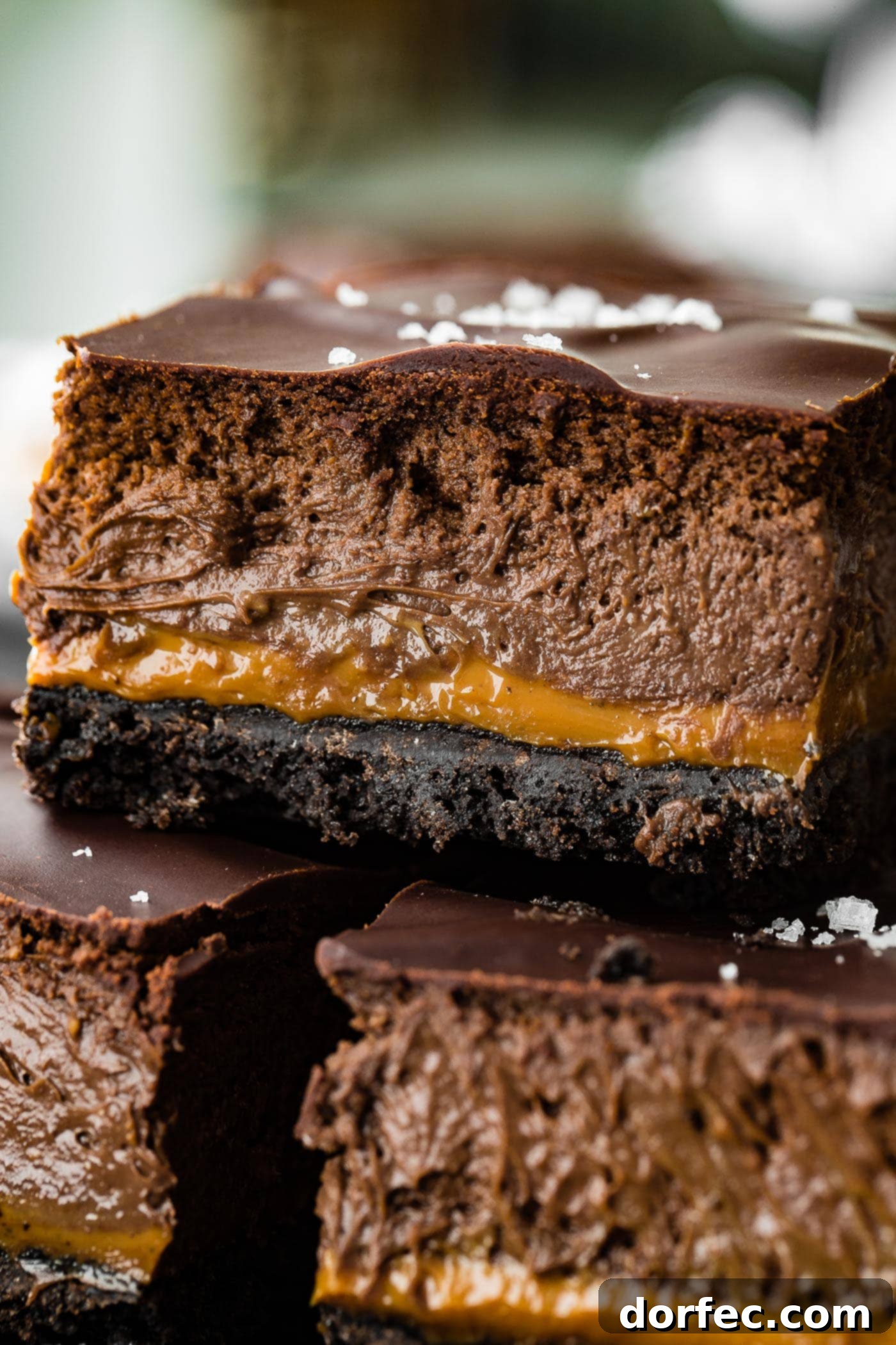 A close up side profile of a creamy and rich cocoa cream cheese dessert with flaky salt, highlighting the different dessert layers.