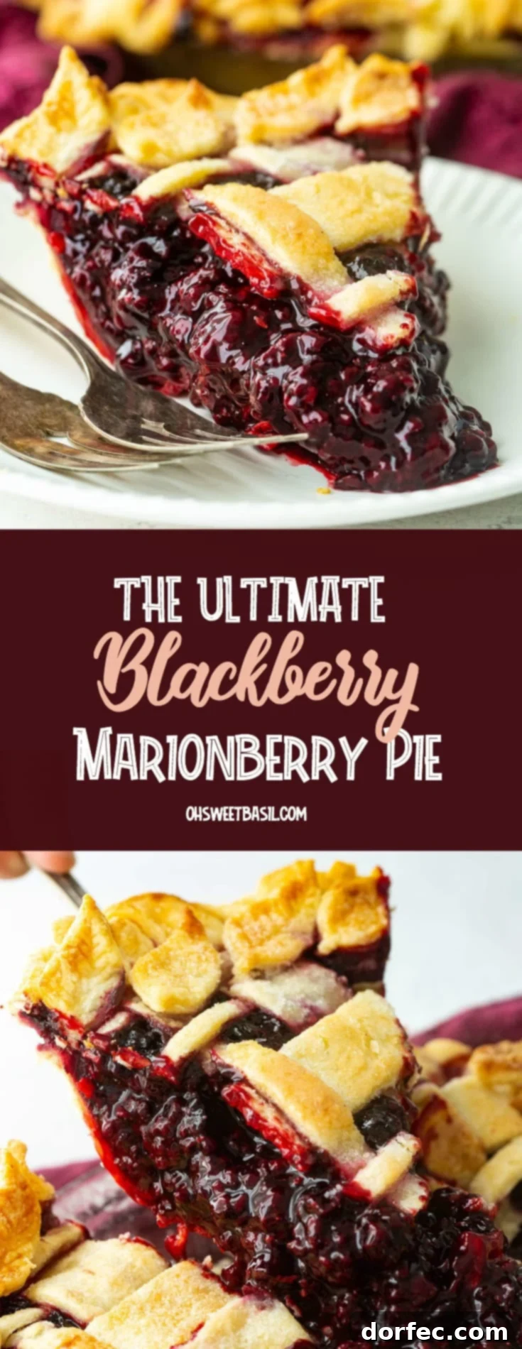 A beautifully composed image of a Marionberry pie slice, perfectly baked with its vibrant filling and golden crust, ready for serving.