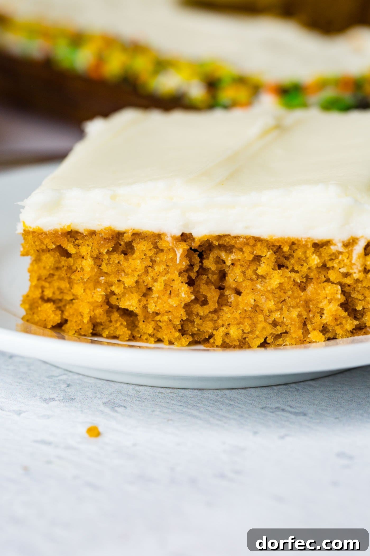 A photo of a piece of pumpkin sheet cake with cream cheese frosting sitting on a white plate.