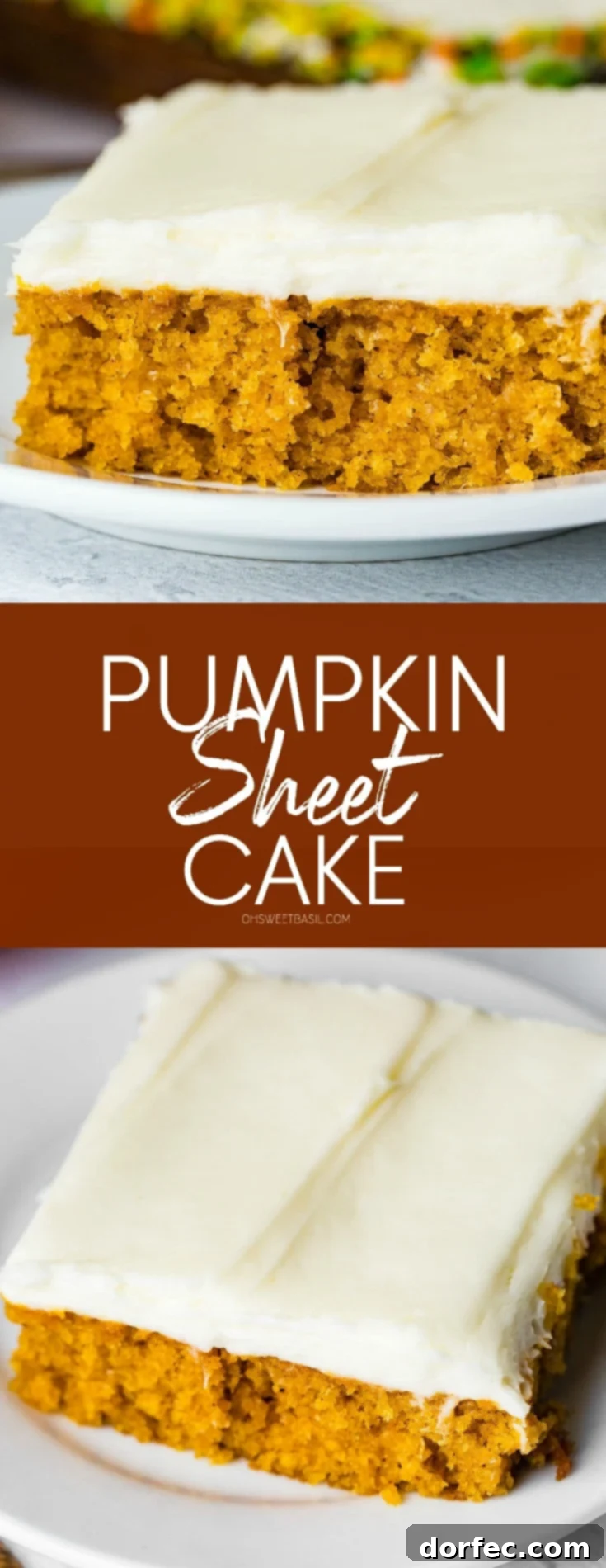 A photo of a piece of pumpkin sheet cake with cream cheese frosting sitting on a white plate.