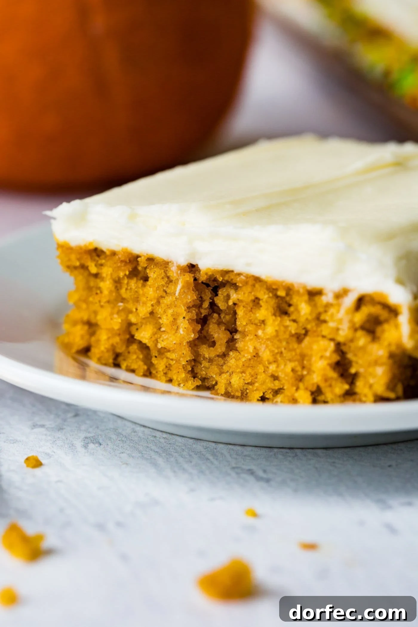 A photo of a piece of pumpkin sheet cake with cream cheese frosting sitting on a white plate.