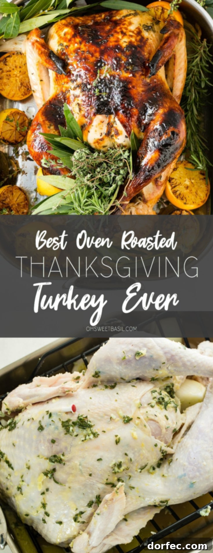 A photo of a whole roasted turkey on a platter surrounded by roasted lemon halves and bunches of fresh herbs, beautifully presented for a holiday meal.