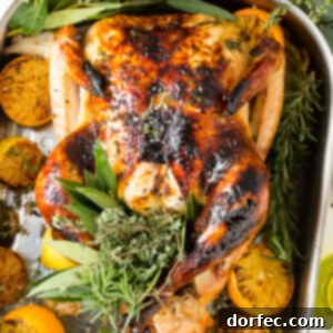 A beautifully roasted turkey, golden brown and ready to serve.
