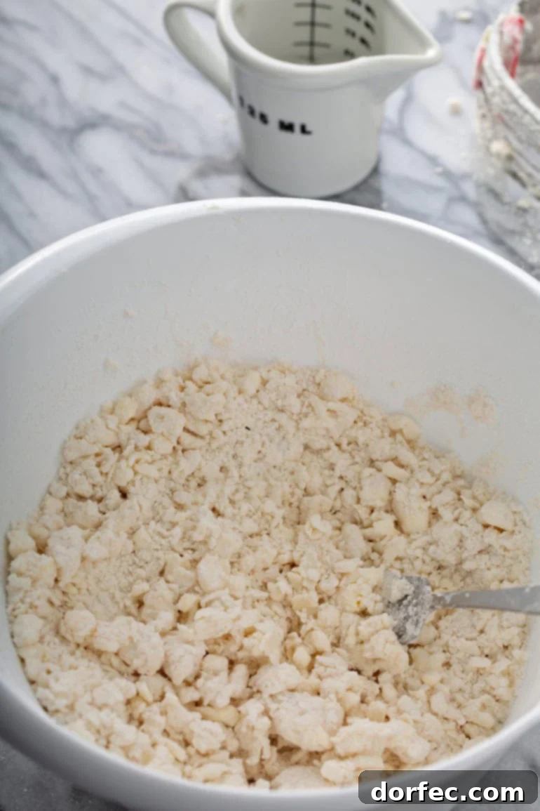 A close-up of pie dough ingredients after butter has been cut into the flour, showing a dry, crumbly mixture before the addition of water.