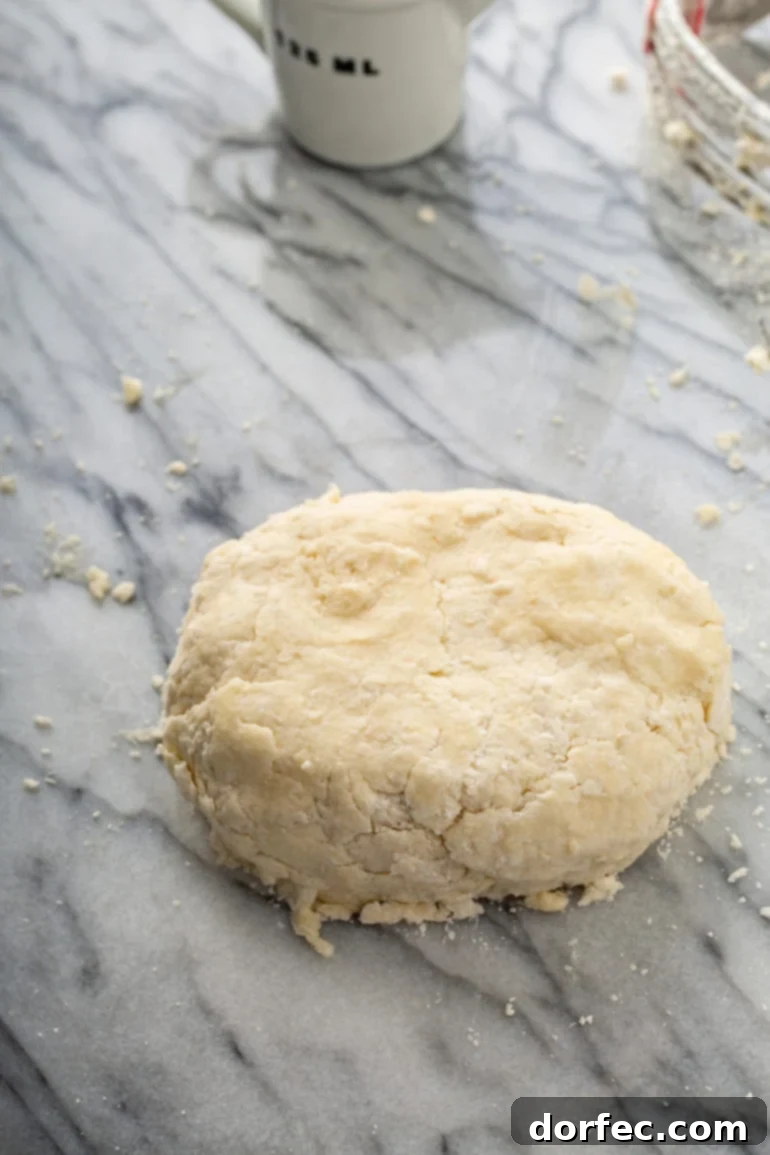 A freshly formed ball of pie dough resting on a countertop, indicating it's ready for chilling.