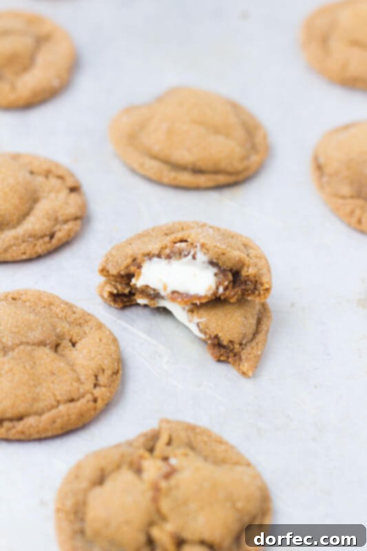 Cinnamon Swirl Cookies 3 Molasses white chocolate stuffed cookies, a classic holiday recipe from over a century ago, still a top choice.