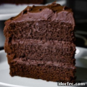 The Most Perfect Moist Chocolate Cake