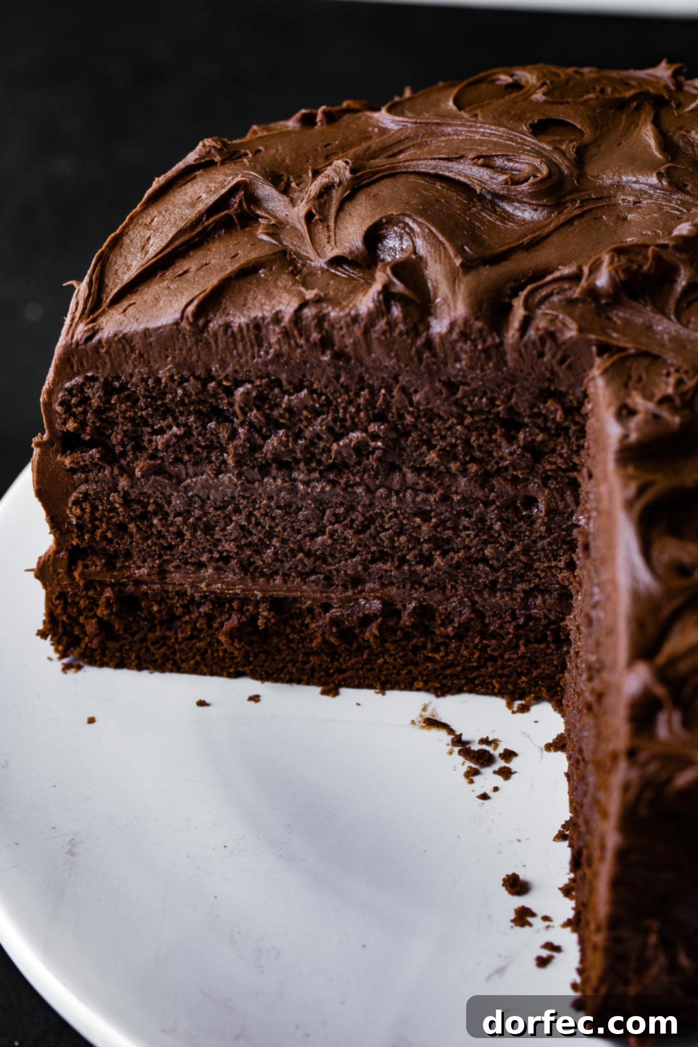 A stunning chocolate layer cake with a section cut out, revealing its incredibly moist interior and thick layers of creamy chocolate frosting. The cake is evenly frosted, inviting a decadent bite.
