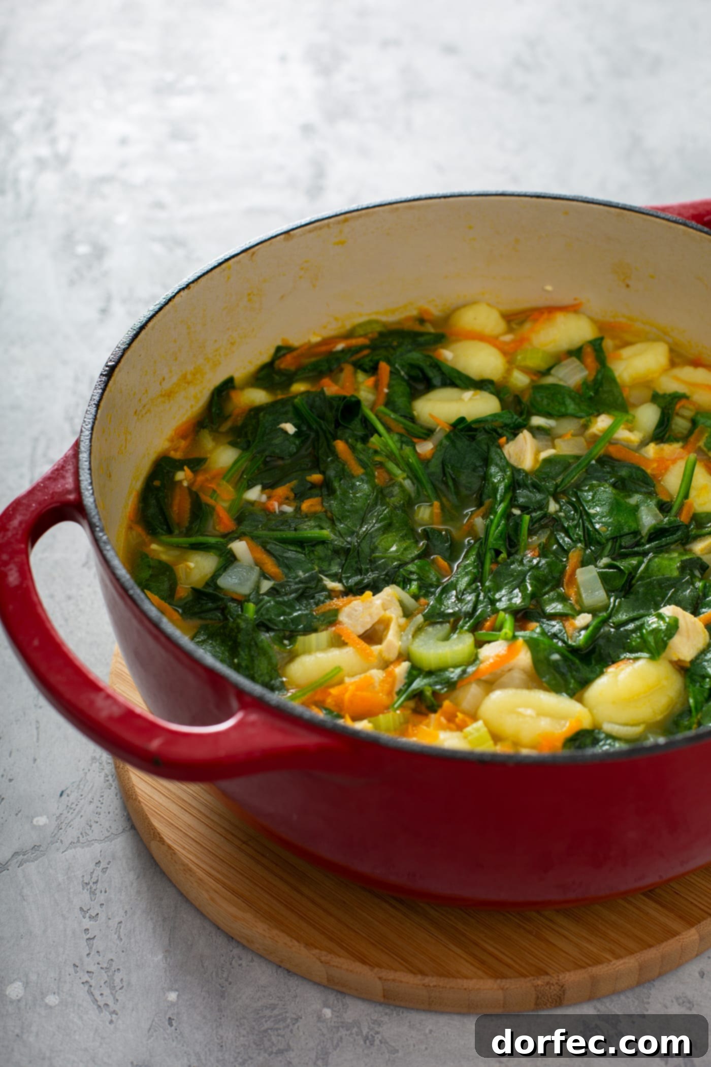 Olive Garden Gnocchi Chicken Soup A red soup pot with spinach, gnocchi, shredded carrots, celery, onions and chicken.