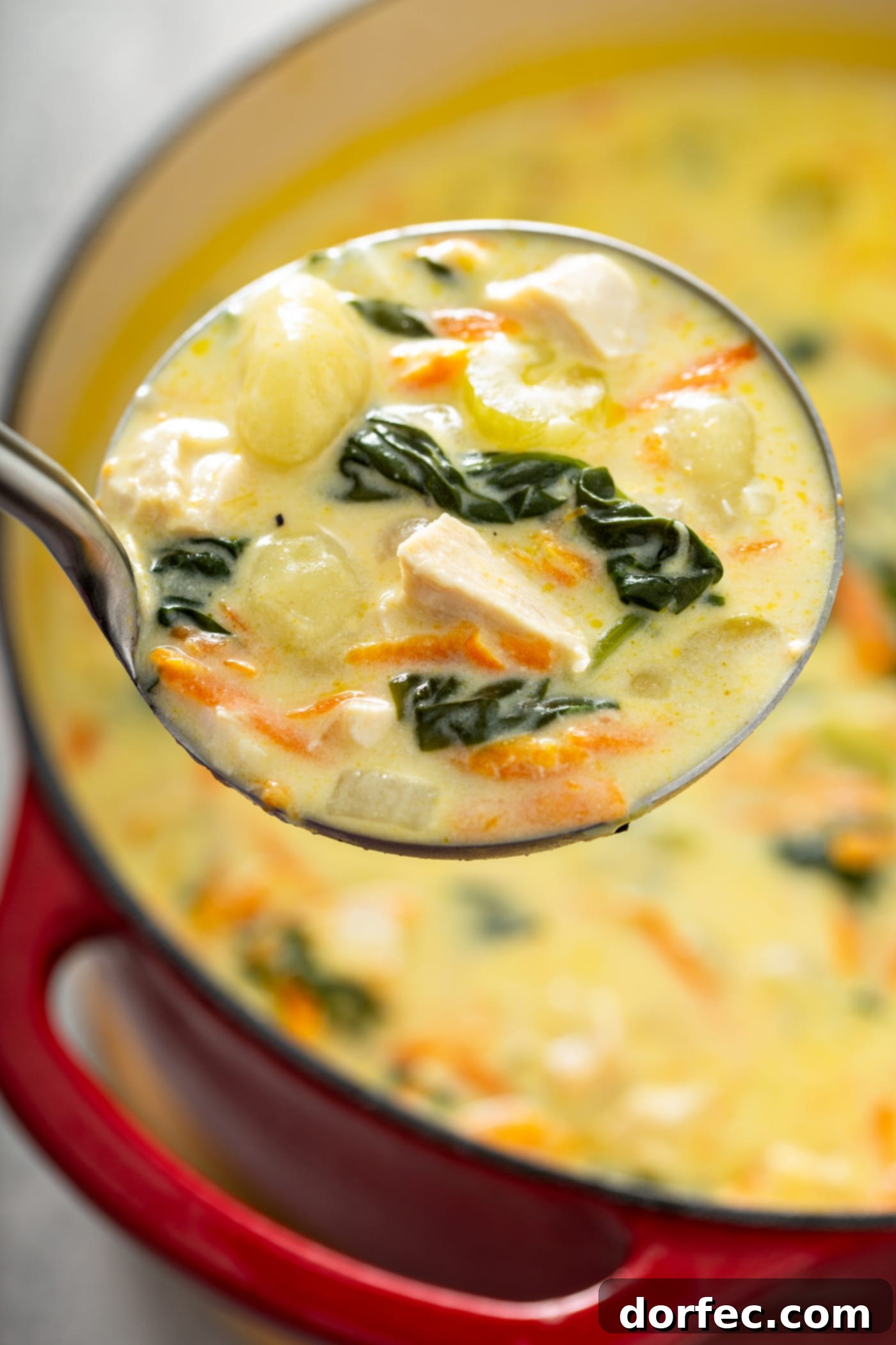 Olive Garden Gnocchi Chicken Soup A soup pot of Olive Garden chicken and gnocchi soup with a ladle full of soup. There are shredded carrots, chicken, gnocchi, and spinach in a creamy soup.