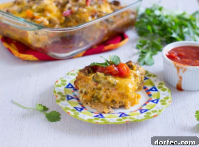 Delicious and easy Mexican Breakfast Enchiladas recipe Serving of Mexican Breakfast Enchiladas, garnished with fresh cilantro and a dollop of sour cream, ready to be enjoyed.