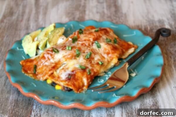Vibrant Veggie Tacos with Spicy Crema 6 Vegetable-Enchiladas-1