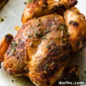 Smoked Whole Chicken on a Traeger