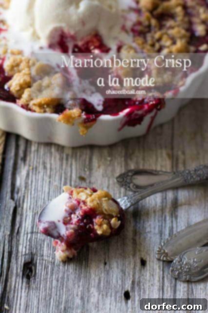 A silver spoon holding a scoop of melted ice cream and berry crisp, with a larger portion of the dessert in the background.