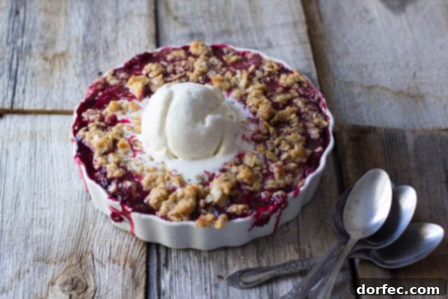 A close-up photo of a baked Marionberry Crisp in a shallow tart dish with a large scoop of vanilla ice cream gently melting into the warm, fruit filling.