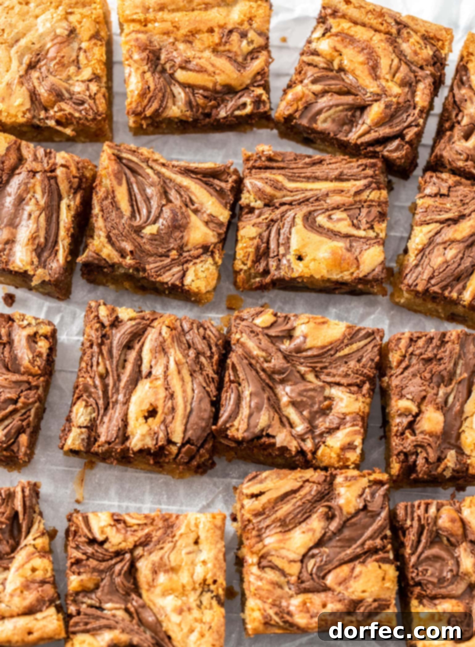 Top down view of a batch of nutella blondies showing dense, fudgy, and gooey texture