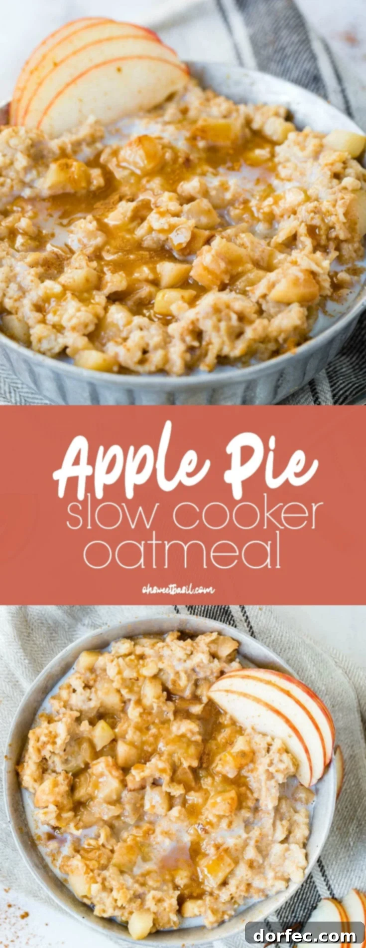 A photo of a bowl of oatmeal full of apple chunks and topped with caramel and thin apple slices.