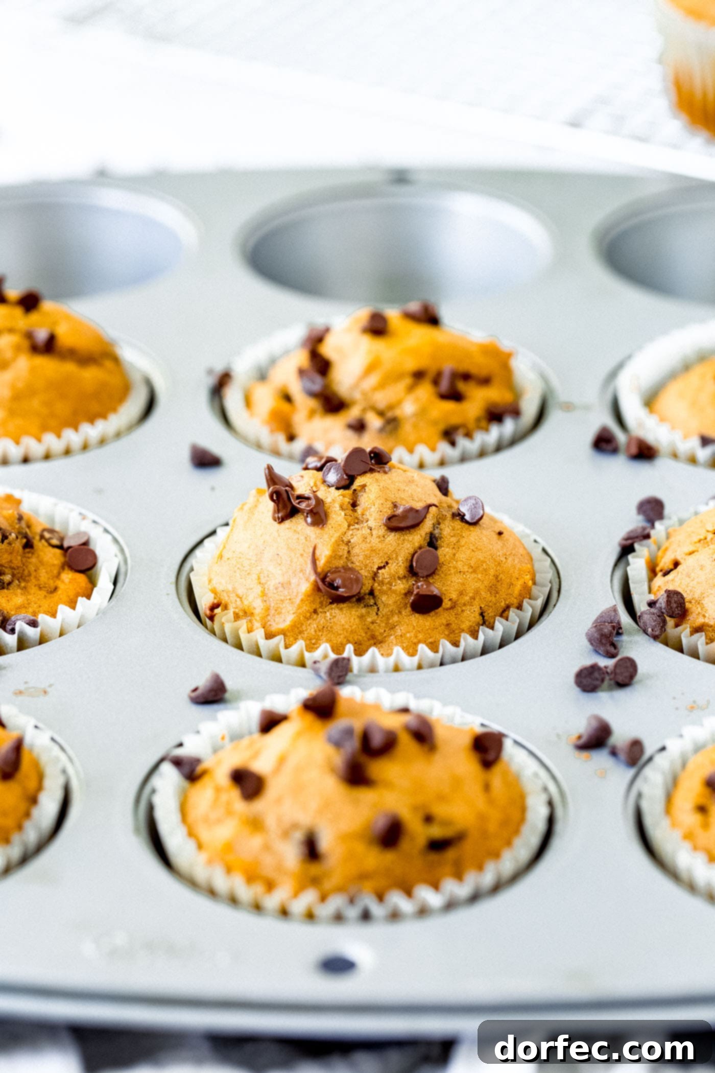 Chocolate Chip Pumpkin Muffins Close-Up Close-up of chocolate chip pumpkin muffins, highlighting the moist interior and melted chocolate.