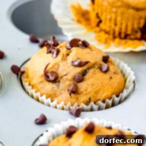Spiced Pumpkin Chocolate Chip Muffins 2 Finished chocolate chip pumpkin muffins with a golden brown top.