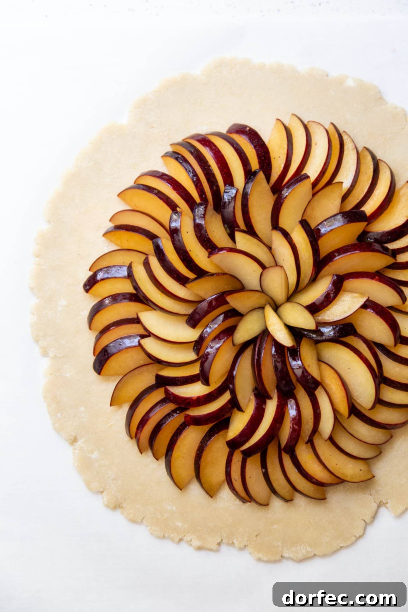 Orchard Plum Galette 3 Close-up view of plum slices being artfully arranged in concentric circles on the pie crust for a galette, showcasing the preparation process.