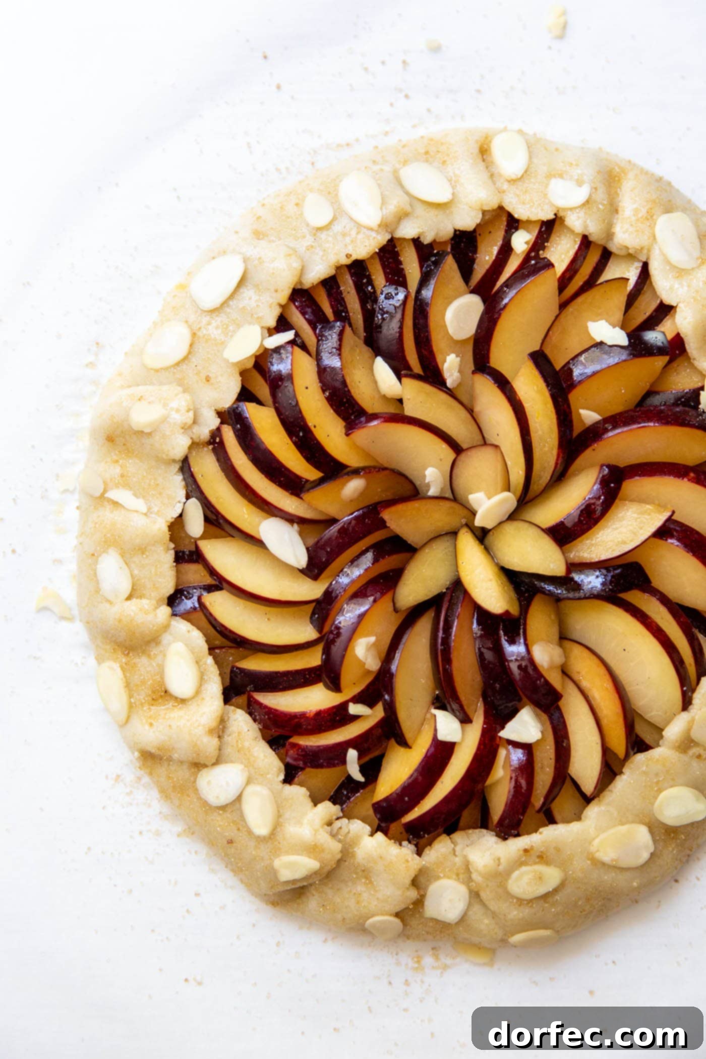 Orchard Plum Galette 4 An unbaked Plum Galette, beautifully arranged with plum slices and folded crust edges, before baking.