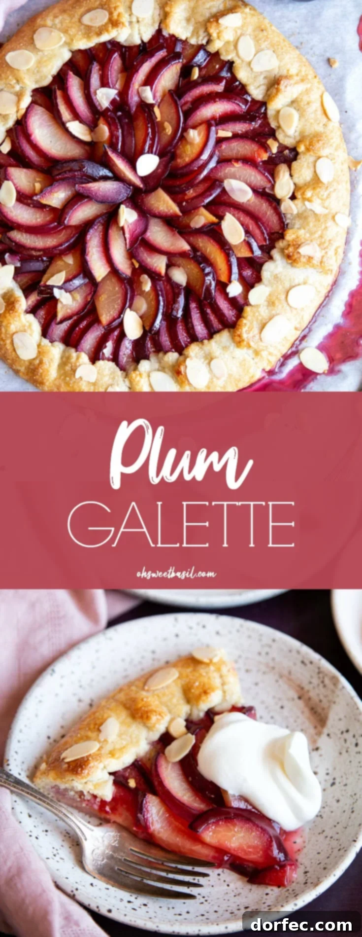 Orchard Plum Galette 5 A beautifully baked Plum Galette on a baking sheet, with its rustic crust and glistening plum filling.
