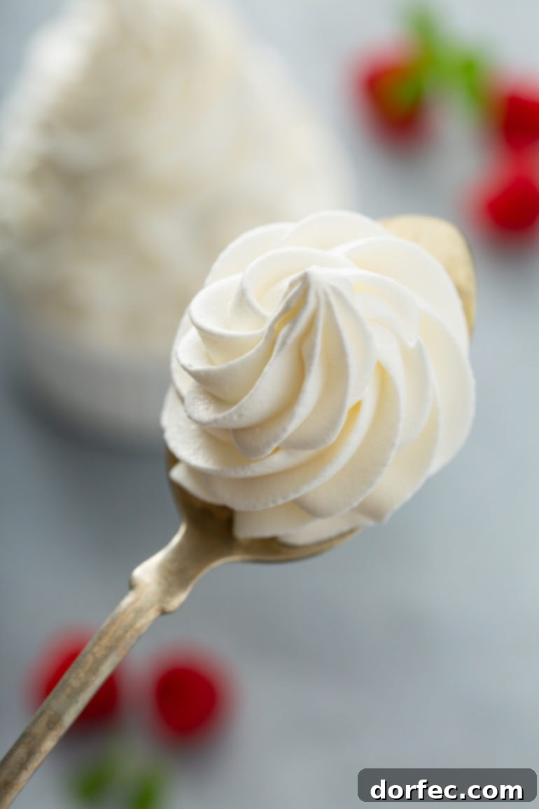 Foolproof Stabilized Whipped Cream 4 A spoon delicately holding a perfectly piped swirl of thick, stabilized whipped cream, with fresh raspberries scattered around a bowl in the background.