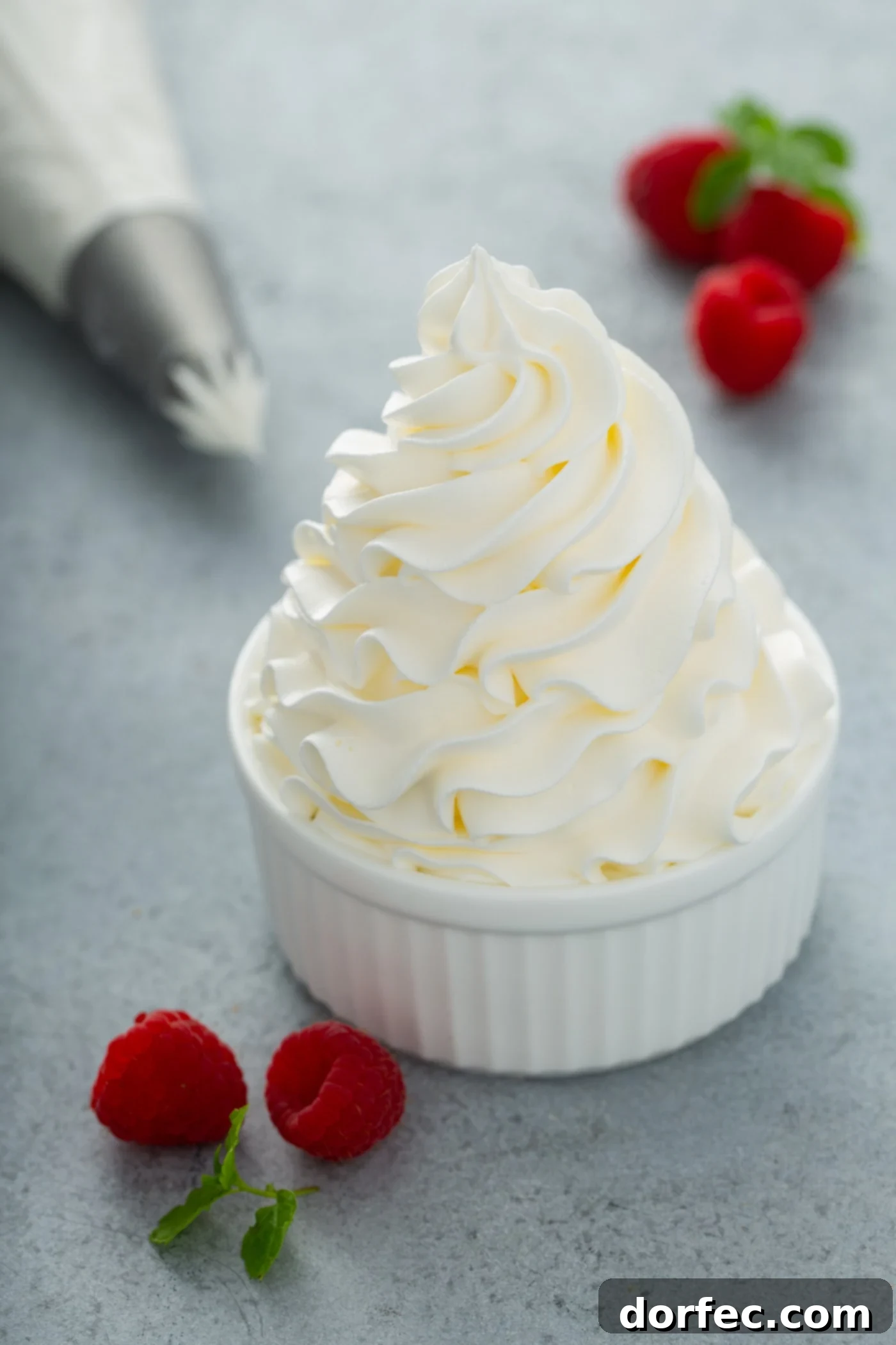 Resilient Stabilized Whipped Cream A pristine bowl of swirled stabilized whipped cream, ready for serving. Fresh raspberries rest beside the bowl, with a piping bag visible in the soft-focus background, suggesting its versatile use.