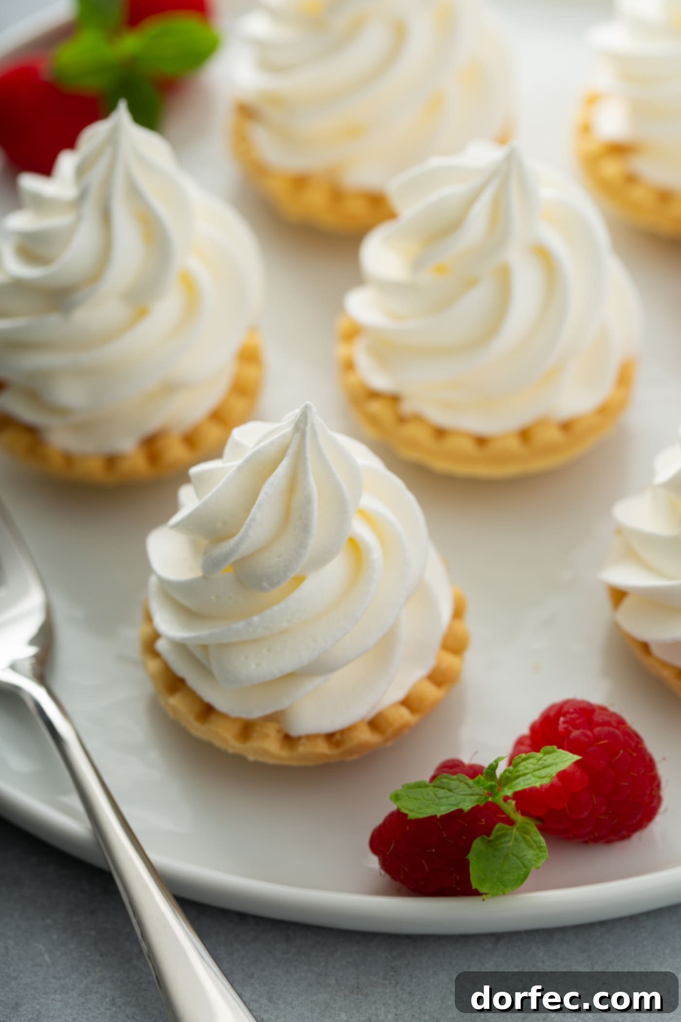 Stabilized Whipped Cream on Tarts A close-up of several small tarts, each exquisitely topped with a perfect swirl of stabilized whipped cream. Fresh raspberries are artfully placed around the tarts.
