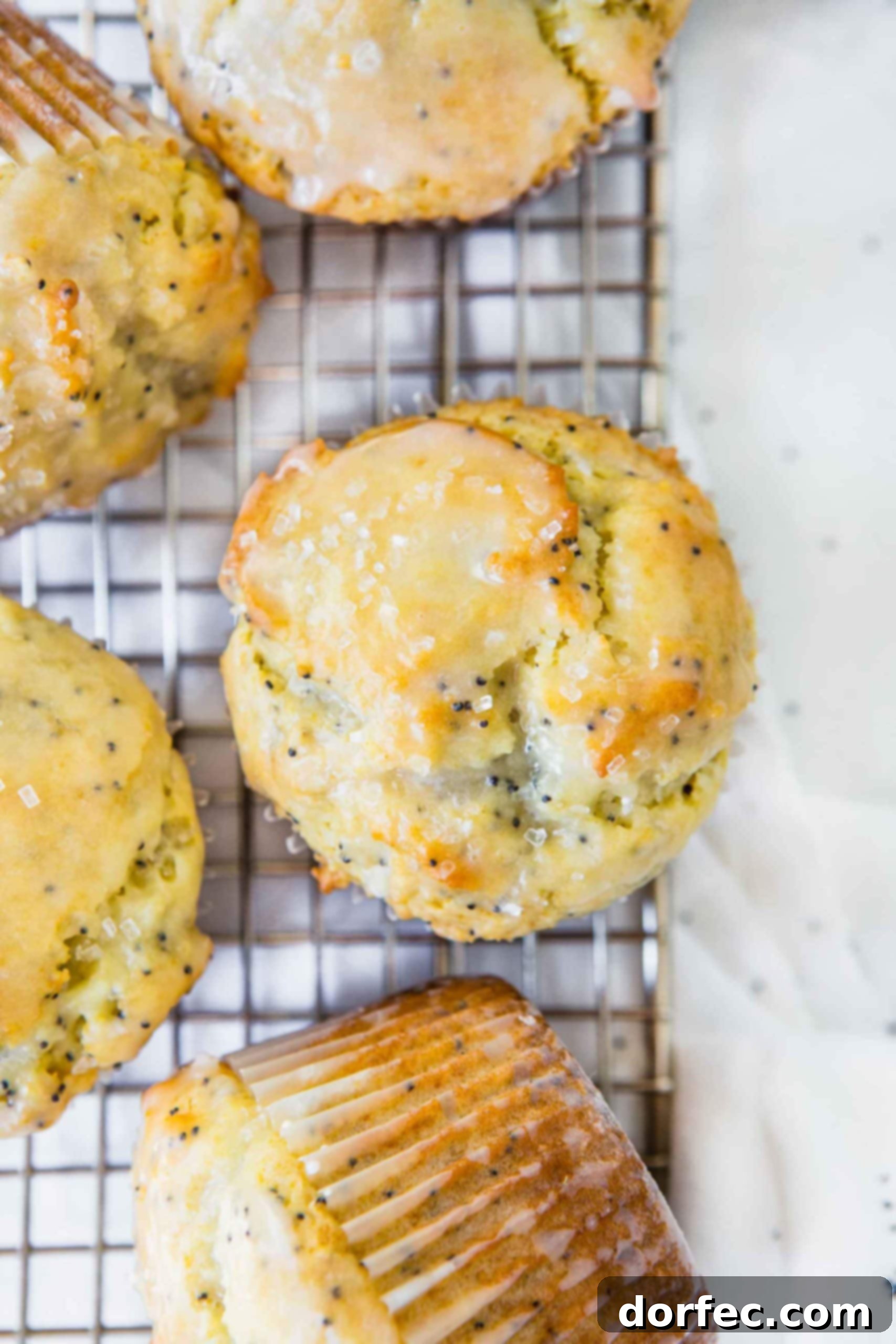 Lemon Poppy Seed Muffins Six lemon poppy seed muffins, freshly baked and drizzled with a bright lemon glaze, are arranged on a wire cooling rack. The glaze is still slightly wet, inviting a delicious bite.