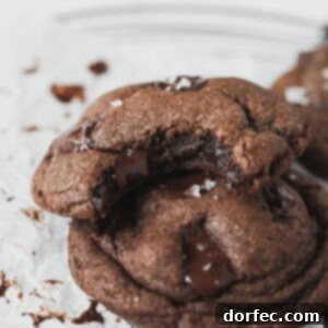 Ultimate Double Chocolate Chip Cookies 2 The Best Chocolate Cookies